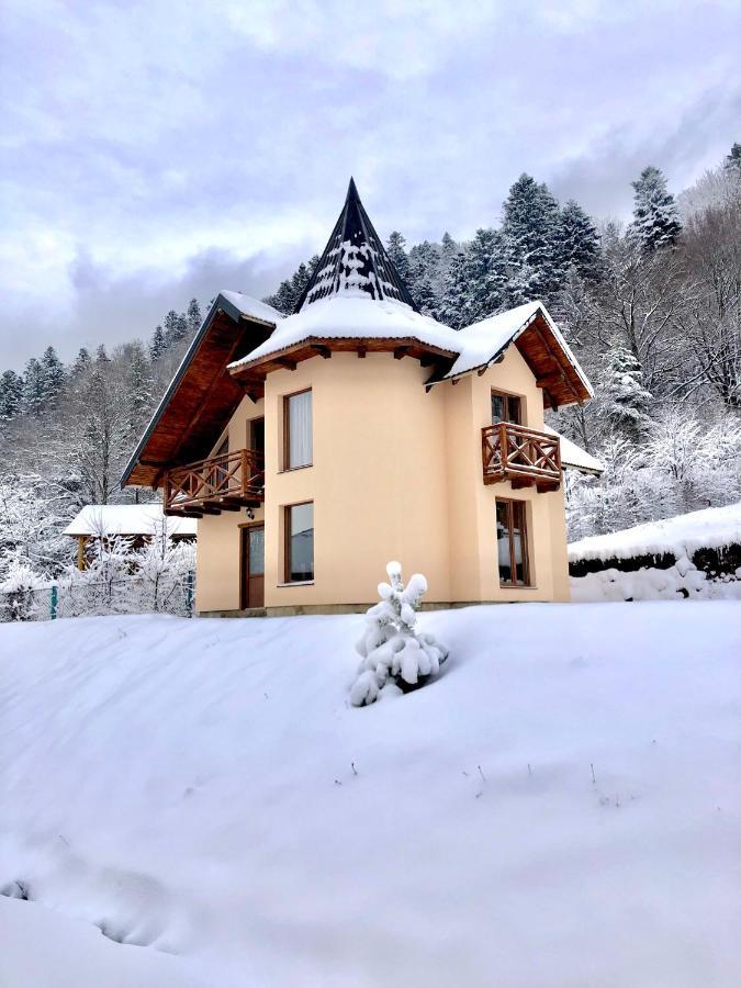 Лучка Villa Mykulychyn Eksteriør billede